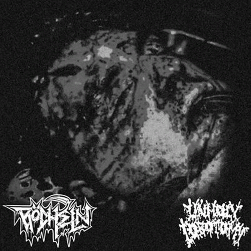 Röcheln : R​​​ö​​​cheln - Unholy Lobotomy